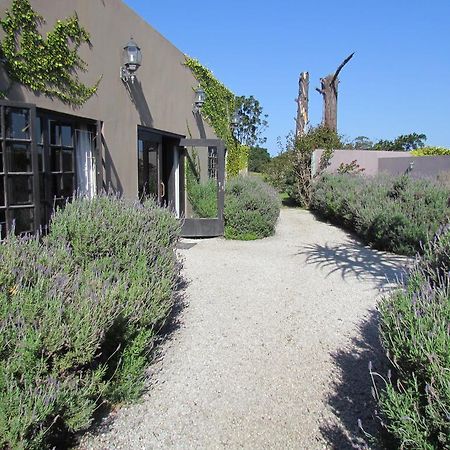 Plett River Lodge Plettenberg Bay Extérieur photo