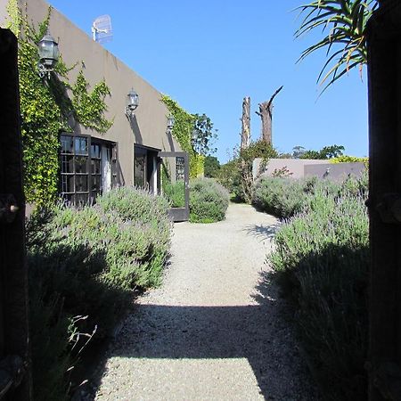 Plett River Lodge Plettenberg Bay Extérieur photo