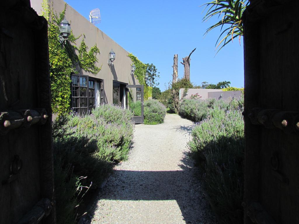 Plett River Lodge Plettenberg Bay Extérieur photo